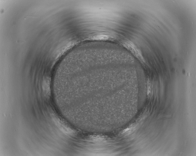 X0000088030300200706011356