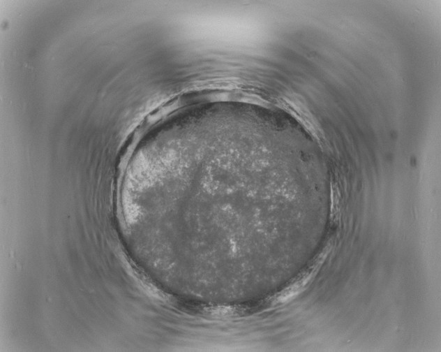 X0000088030301200706011356