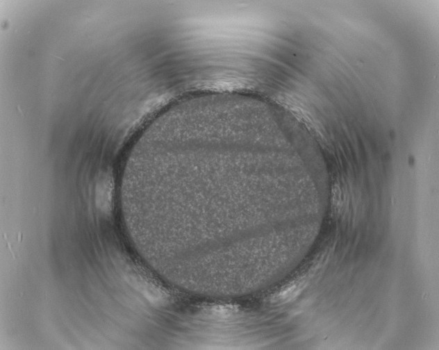 X0000088030304200706011356