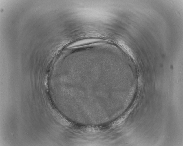 X0000088030305200706011356