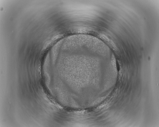 X0000088030306200706011356