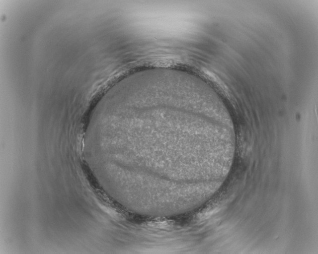 X0000088030307200706011356