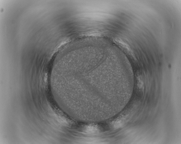 X0000088030308200706011356