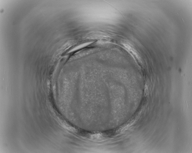 X0000088030309200706011356