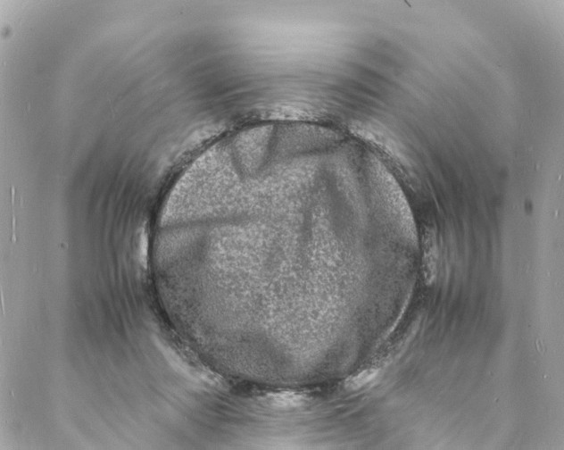 X0000088030310200706011356