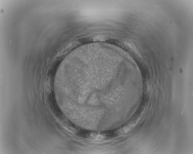 X0000088030311200706011356