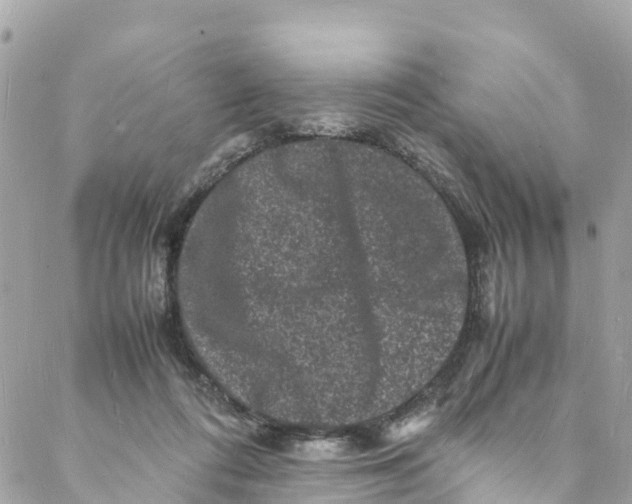 X0000088030312200706011356