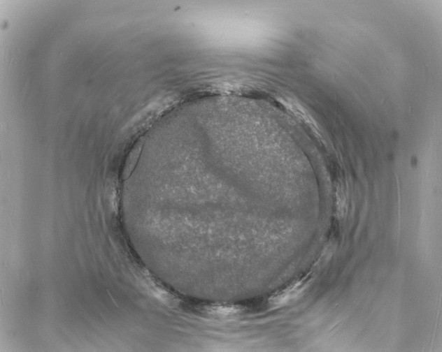 X0000088030313200706011356