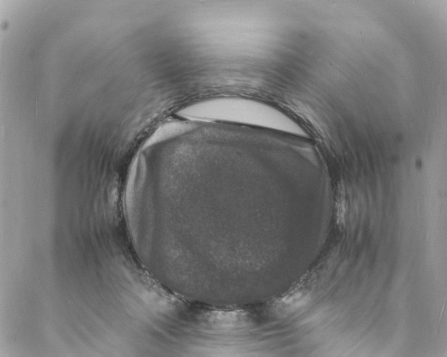 X0000088030314200706011356