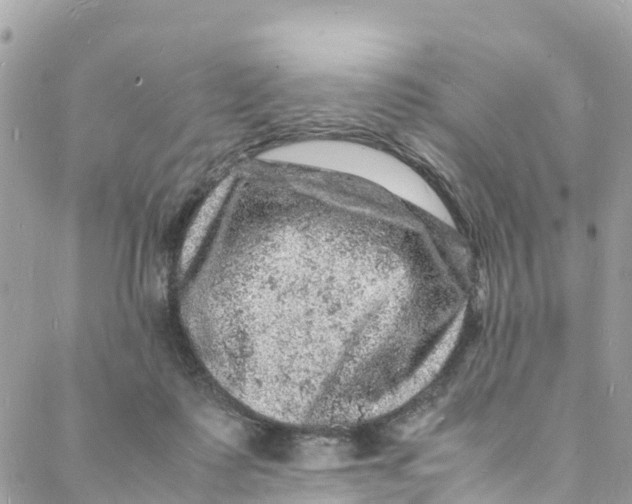 X0000088030315200706011356