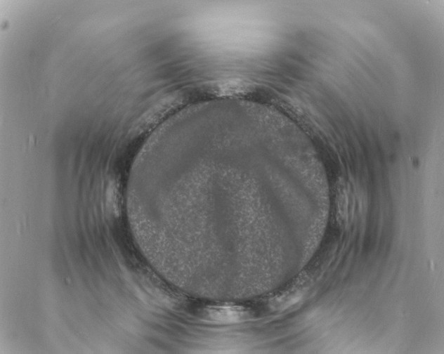 X0000088030316200706011356