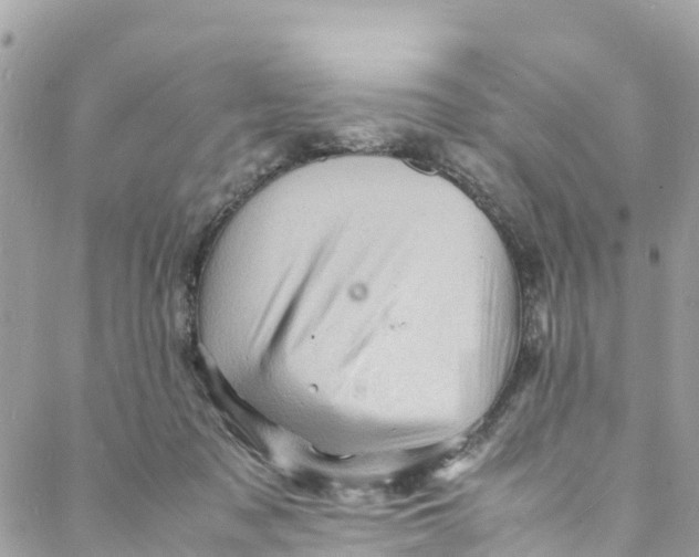 X0000088030317200706011356