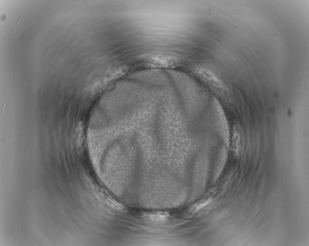 X0000088030318200706011356