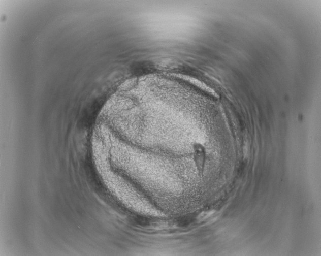 X0000088030319200706011356