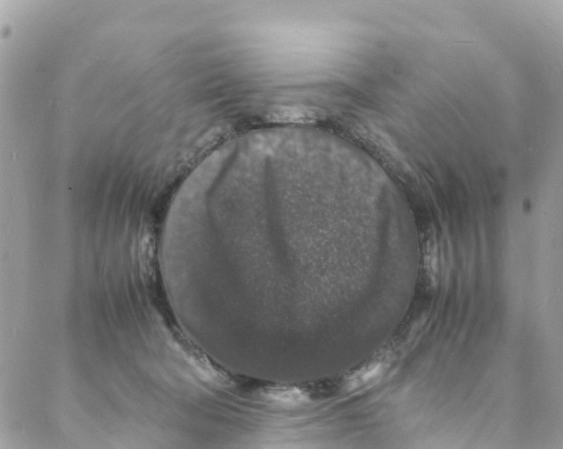 X0000088030322200706011356