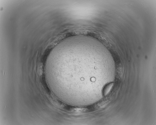 X0000088030323200706011356