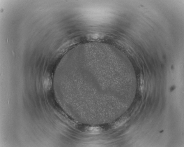 X0000088030324200706011356