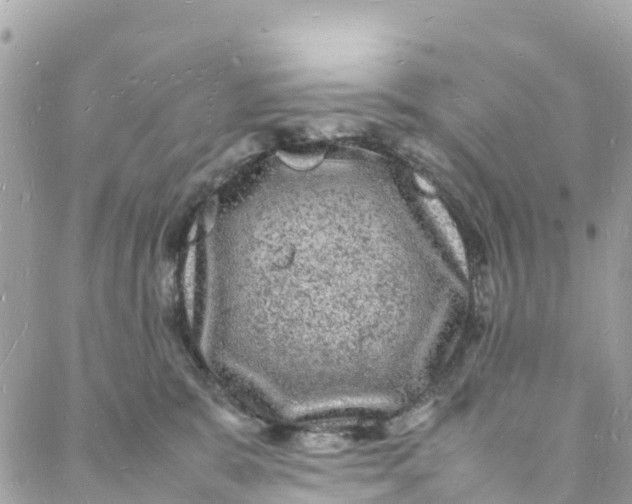 X0000088030327200706011356