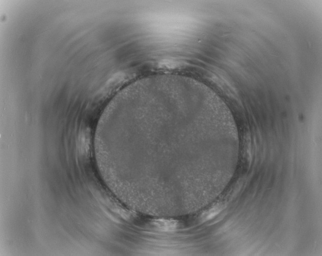 X0000088030328200706011356