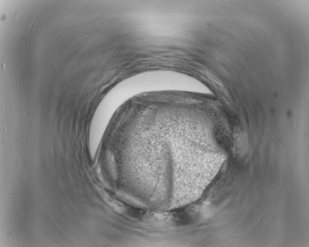 X0000088030329200706011356