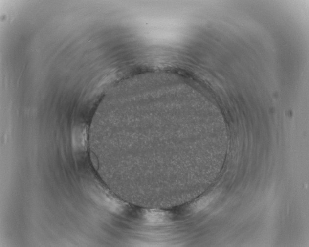 X0000088030336200706011356