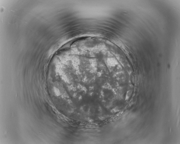 X0000088030337200706011355