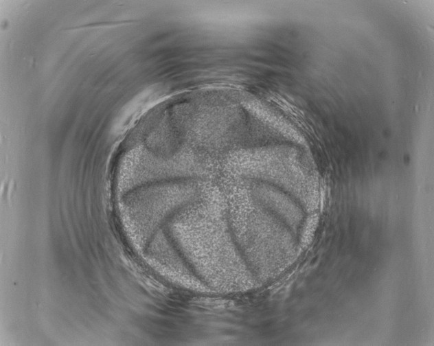 X0000088030339200706011355