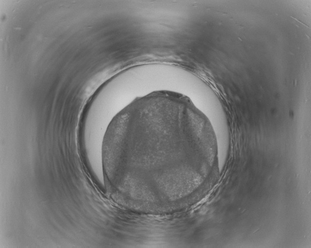 X0000088030340200706011355