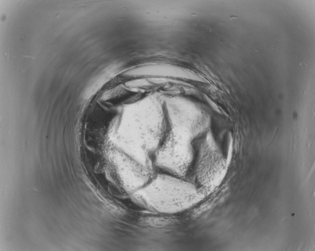 X0000088030341200706011355