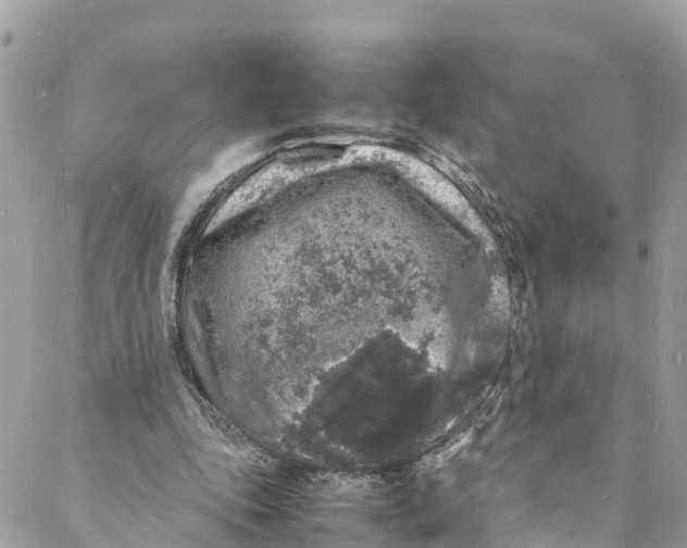 X0000088030343200706011355