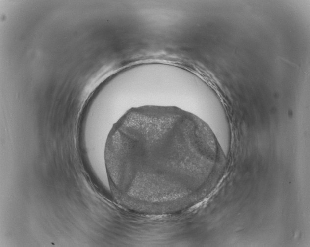 X0000088030344200706011355