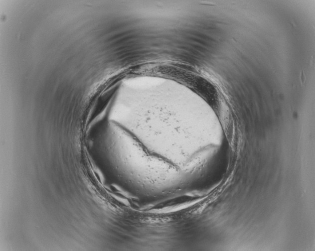 X0000088030345200706011355