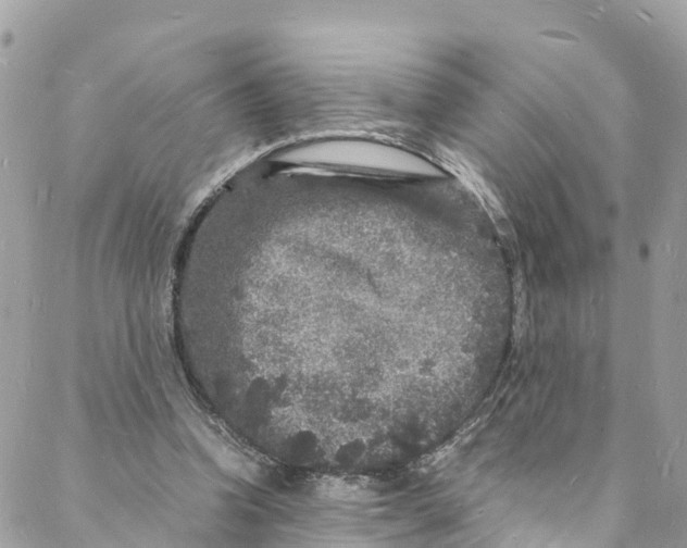 X0000088030346200706011355