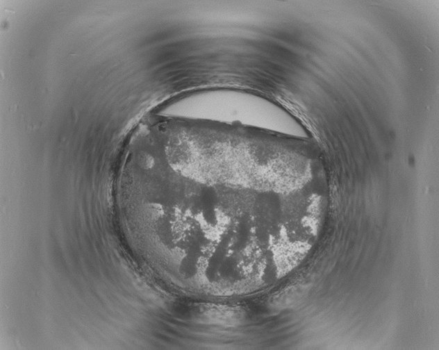 X0000088030347200706011355