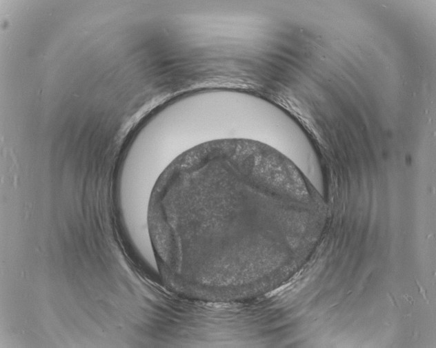 X0000088030348200706011355