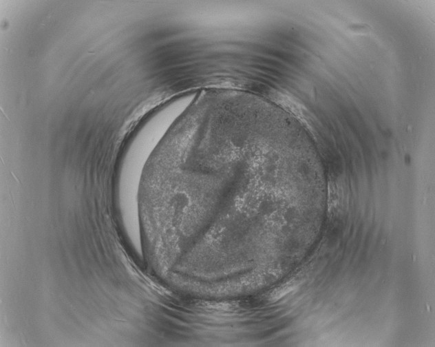 X0000088030349200706011355