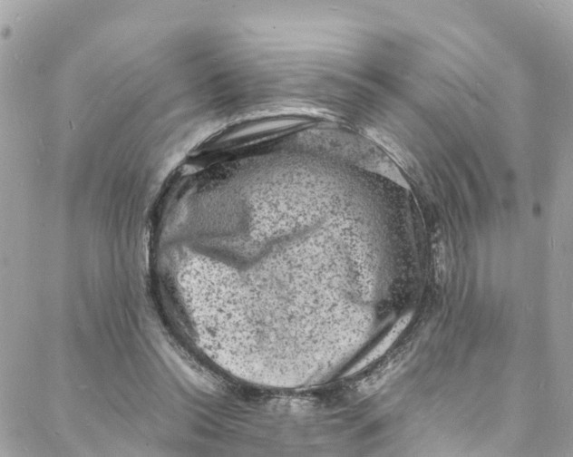 X0000088030350200706011355