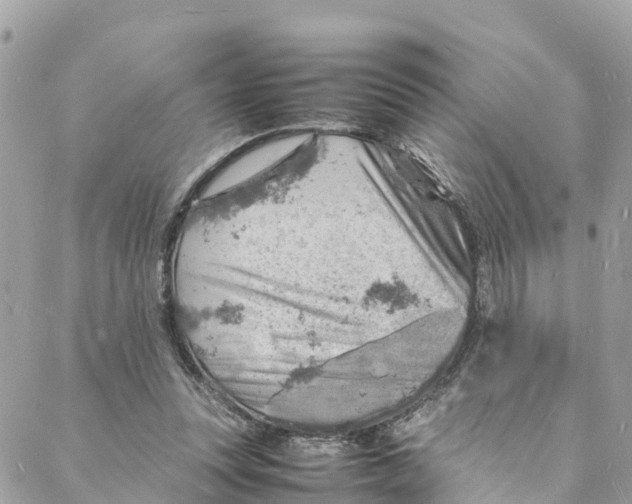 X0000088030351200706011355