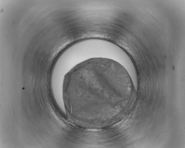 X0000088030352200706011355