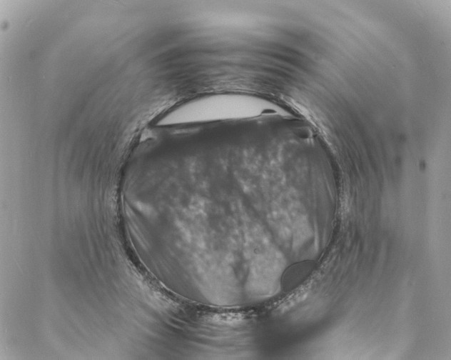 X0000088030353200706011355