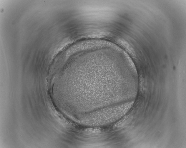 X0000088030354200706011355