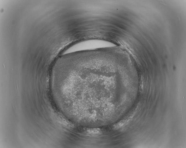 X0000088030355200706011355