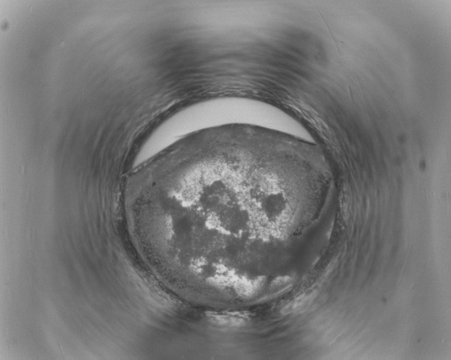 X0000088030359200706011355