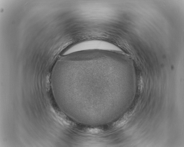 X0000088030360200706011355