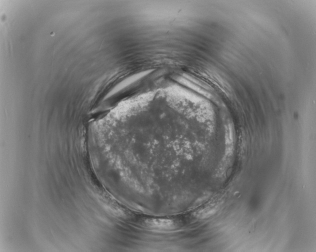 X0000088030361200706011355