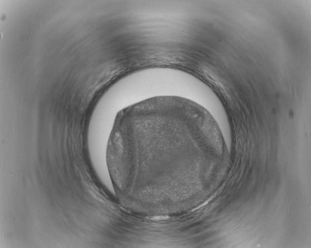 X0000088030362200706011355