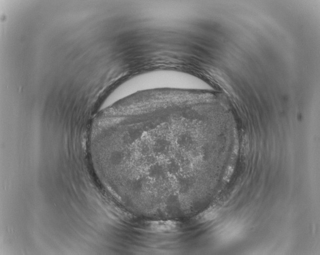 X0000088030363200706011355