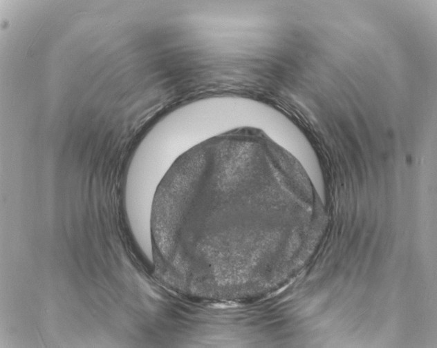 X0000088030364200706011355