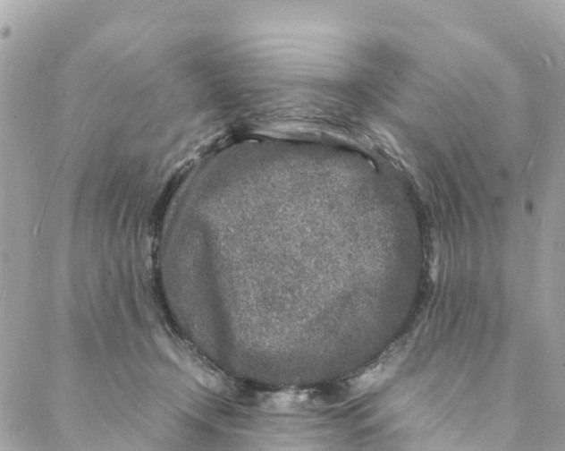 X0000088030366200706011355