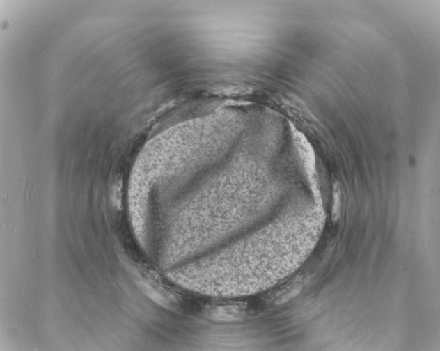 X0000088030368200706011355